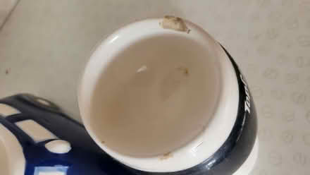 Photo of free Egg cups (Croydon CR7) #2