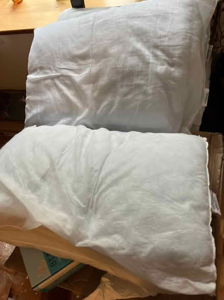 Photo of free Pillows (Rhydycroesau SY10) #1