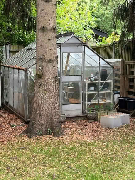 Photo of free Large Greenhouse (Apsley HP3) #2