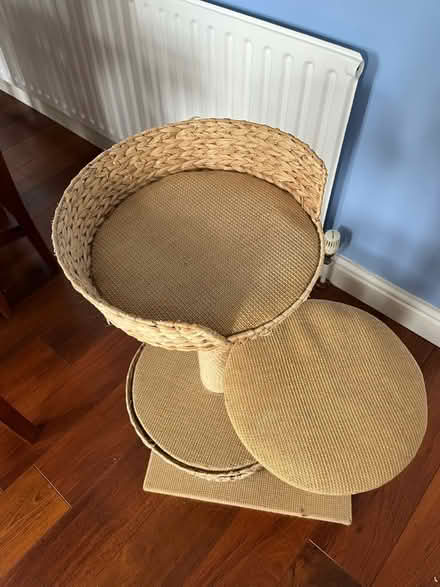 Photo of free Cat tree (East Barnet, EN4) #2