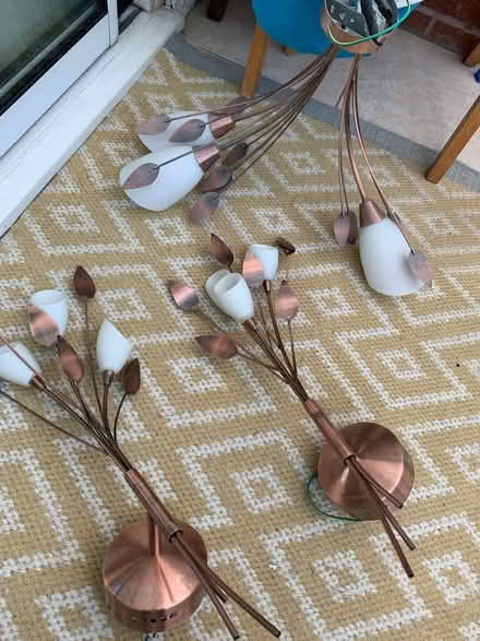 Photo of free Flower and leaf Light fittings set (Kings norton) #2