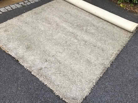 Photo of free Large rug (Slough) #1