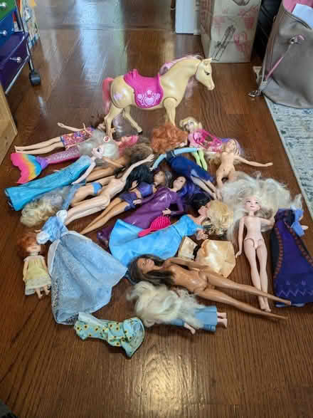 Photo of free Barbie and Barbie-type dolls, horse (Eastchester, NY) #1
