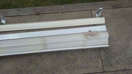 Photo of free Wooden shutter/blind 195cm (Beaconsfield HP9) #3