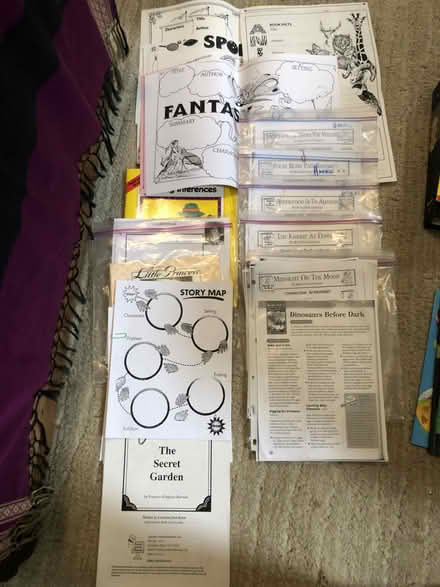 Photo of free teacher resources Book Reports (Mimico) #1