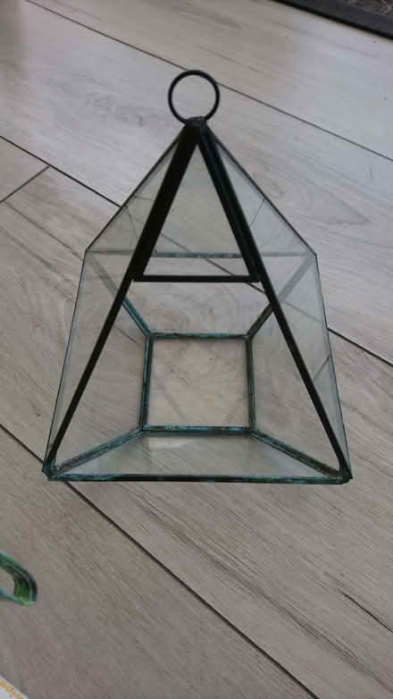Photo of free Glass terrarium (for plants) (Church Hill North B98) #3