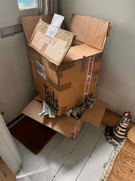 Photo of free 2 cardboard boxes and newspaper (Newhaven) #1