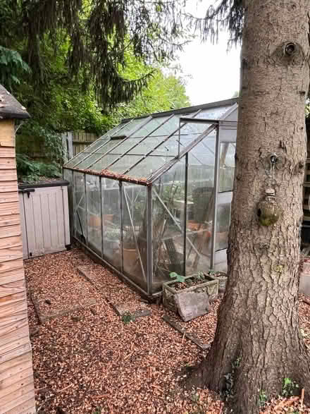 Photo of free Greenhouse (Apsley HP3) #3
