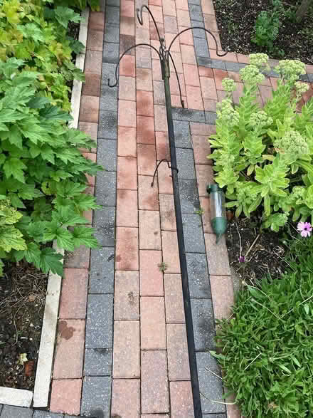 Photo of free Bird feeder (Tavistock) #1