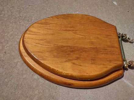 Photo of free Solid oak toilet seat (Alb, Tramway/Central) #1