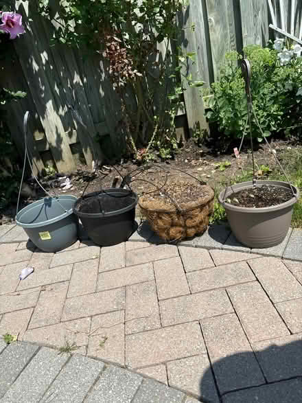 Photo of free Hanging baskets (Ninth Line & Hwy. 7 - Markham) #1