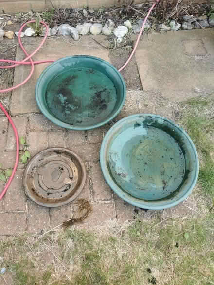 Photo of free Garden trays x3 (Walthamstow E17) #1