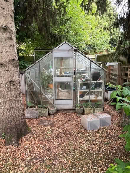 Photo of free Large Greenhouse (Apsley HP3) #1