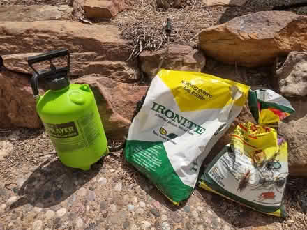 Photo of free Lawn/yard supplies (Alb, Tramway/Central) #1