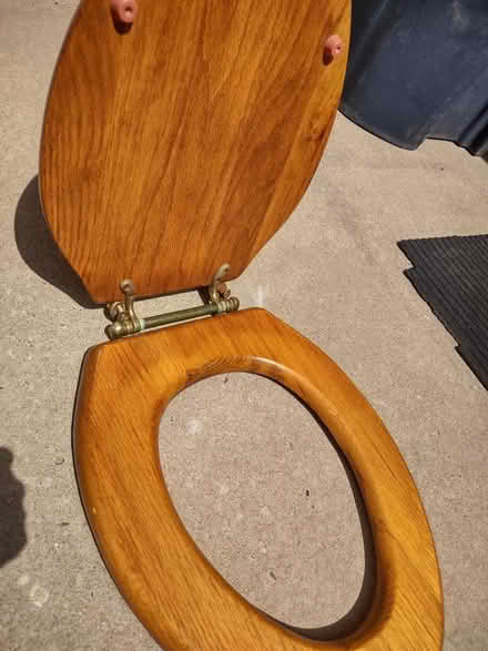 Photo of free Solid oak toilet seat (Alb, Tramway/Central) #2