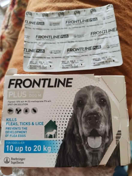 Photo of free Frontline Plus flea treatment (BS24) #1