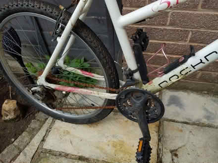 Photo of free Ladies bike (Sothall S20) #3
