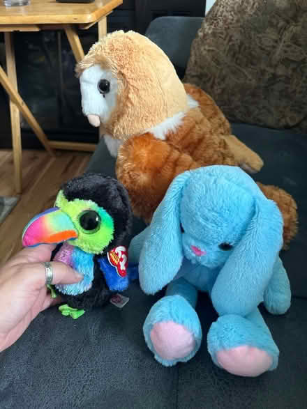 Photo of free Lot of 3 plush animals (West Harrison) #1
