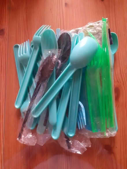 Photo of free Picnic plates, cups and cutlery (Kenilworth Road DE5) #2