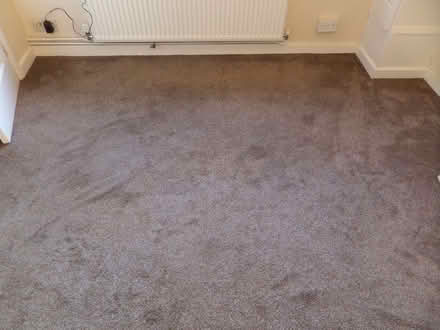 Photo of free Carpet - at least 2.95m x 2.5m (Northway OX3) #4
