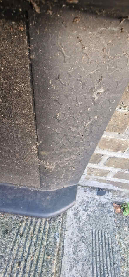 Photo of free Ramp for Dog (Tooting SW17) #4