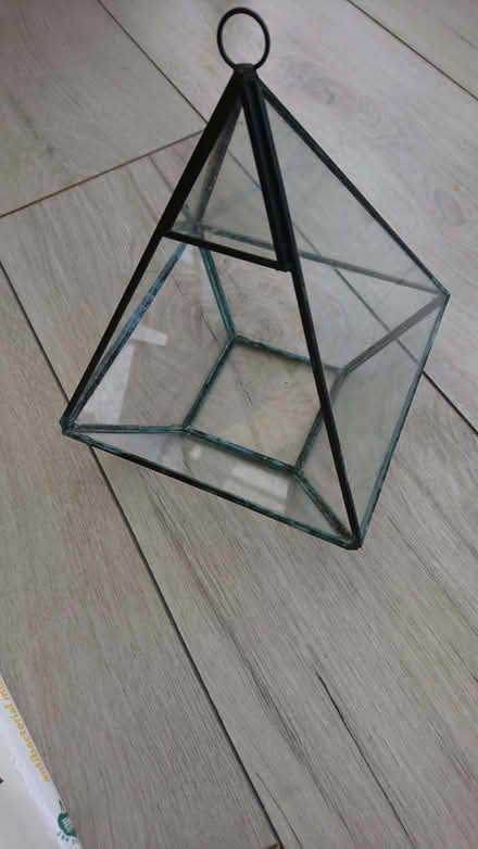 Photo of free Glass terrarium (for plants) (Church Hill North B98) #1