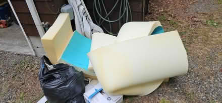 Photo of free Foam rubber pieces (Shoreline) #1