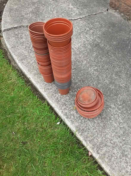 Photo of free Plant pots (Pr4 3TS Newton with Scales) #2