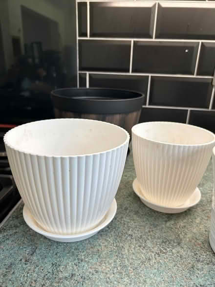 Photo of free 7 assorted flower pots (Bramcote NG9) #4