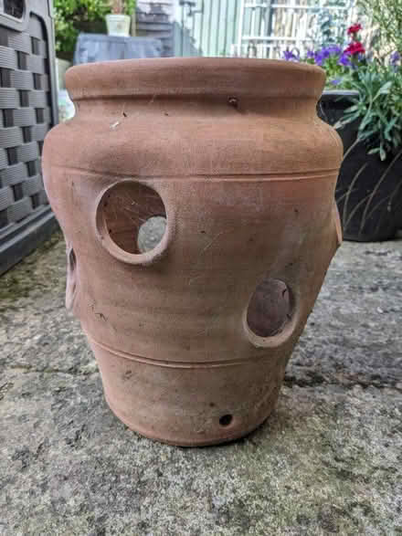 Photo of free Strawberry plant pot (Bletchingley RH1) #2