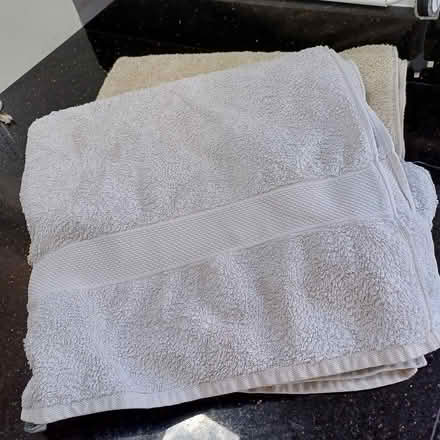 Photo of free Towels (Brandon, Coventry) #1