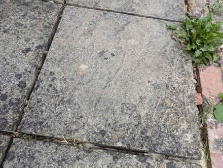 Photo of Garden paving slabs (60x60) (Town Furze OX3) #1