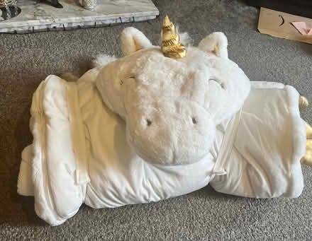 Photo of free Unicorn sleeping bag (Trowbridge) #1
