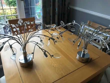 Photo of free Ceiling lights ex John Lewis (Wayfield ME5) #2
