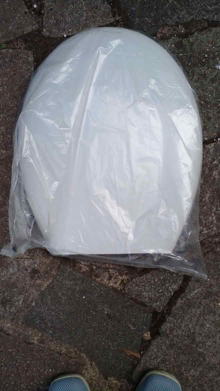 Photo of free Toilet seat (Preston HA9) #2