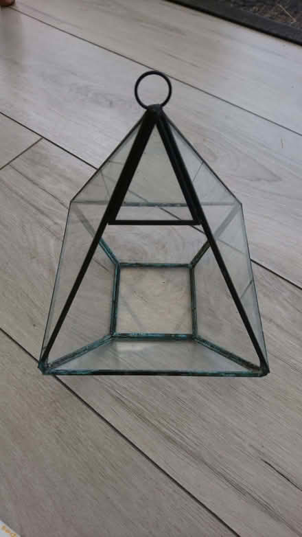 Photo of free Glass terrarium (for plants) (Church Hill North B98) #2