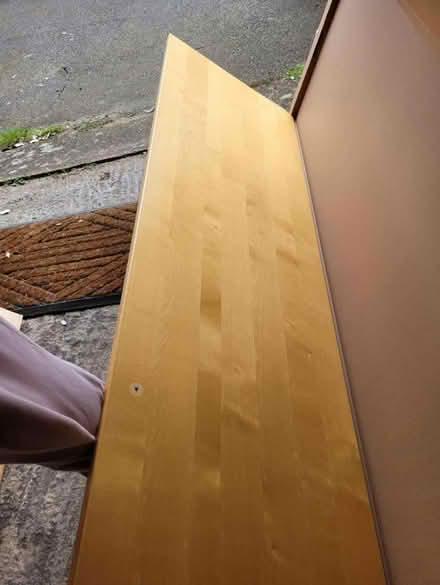 Photo of free Single Ikea Pax door (Denmark hill (Denmark hill (SE5)) #1