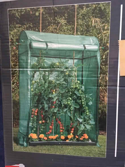 Photo of free Tomato growhouse (Sands HP12) #1