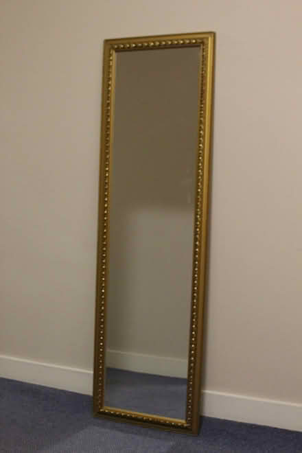 Photo of free Mirror with Decorative Frame. (Stirling FK8) #1