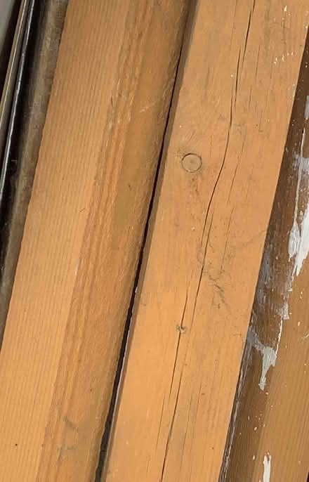 Photo of free Cuprinol Autumn Gold Wood Paint (EN2) #3