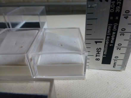Photo of free 12 x pin badge boxes (North Tonbridge.) #3