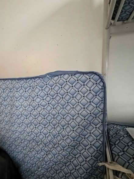 Photo of free single mattress (Kew TW9) #1