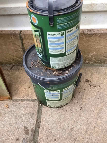 Photo of free Cuprinol Autumn Gold Wood Paint (EN2) #2