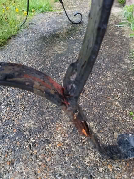 Photo of free Classic Garden Bench. Wood and Iron (Southbourne BH6) #2