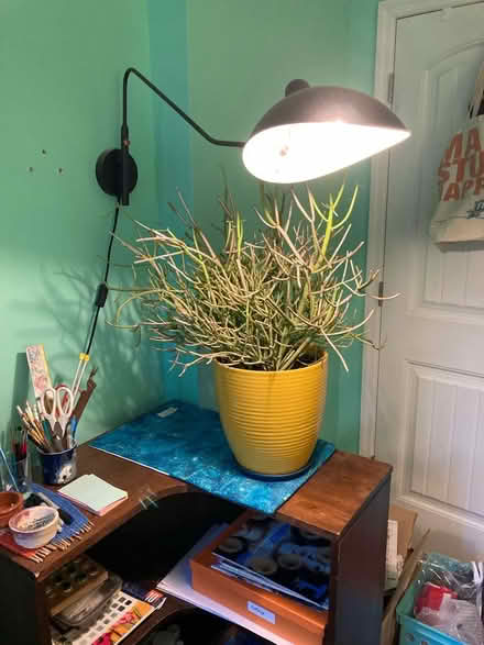 Photo of free Gooseneck wall lamp (Bed Stuy (Brooklyn)) #1