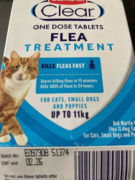 Photo of free cat/dog treatments (Shenfield) #2