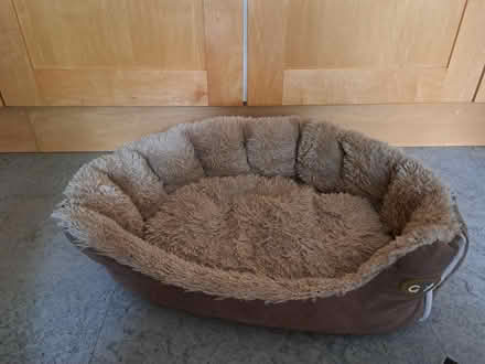 Photo of Dogs bed (SS11) #1