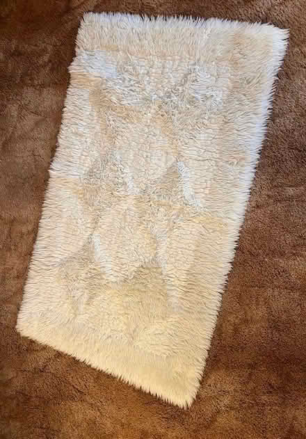 Photo of free Rug (Canada Hill TQ12) #1