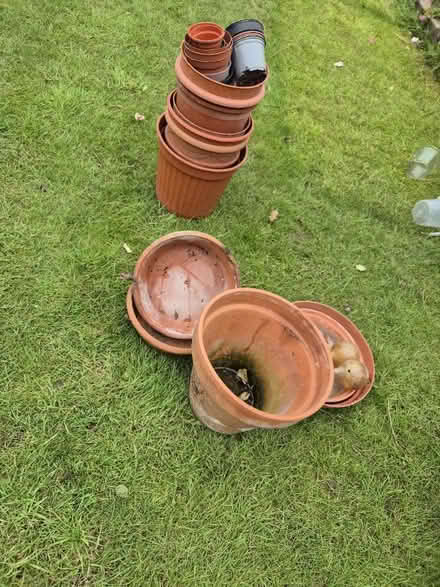 Photo of free Plant pots (Hillingdon HA4) #1
