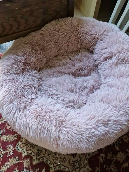 Photo of free Pink Donut calming dog bed (N17 the roundway) #1
